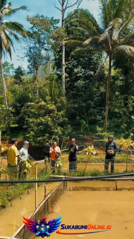 Dari Petani untuk Indonesia, Koperasi RFF Siap Pasok Kebutuhan Pangan SPPG di Sukabumi